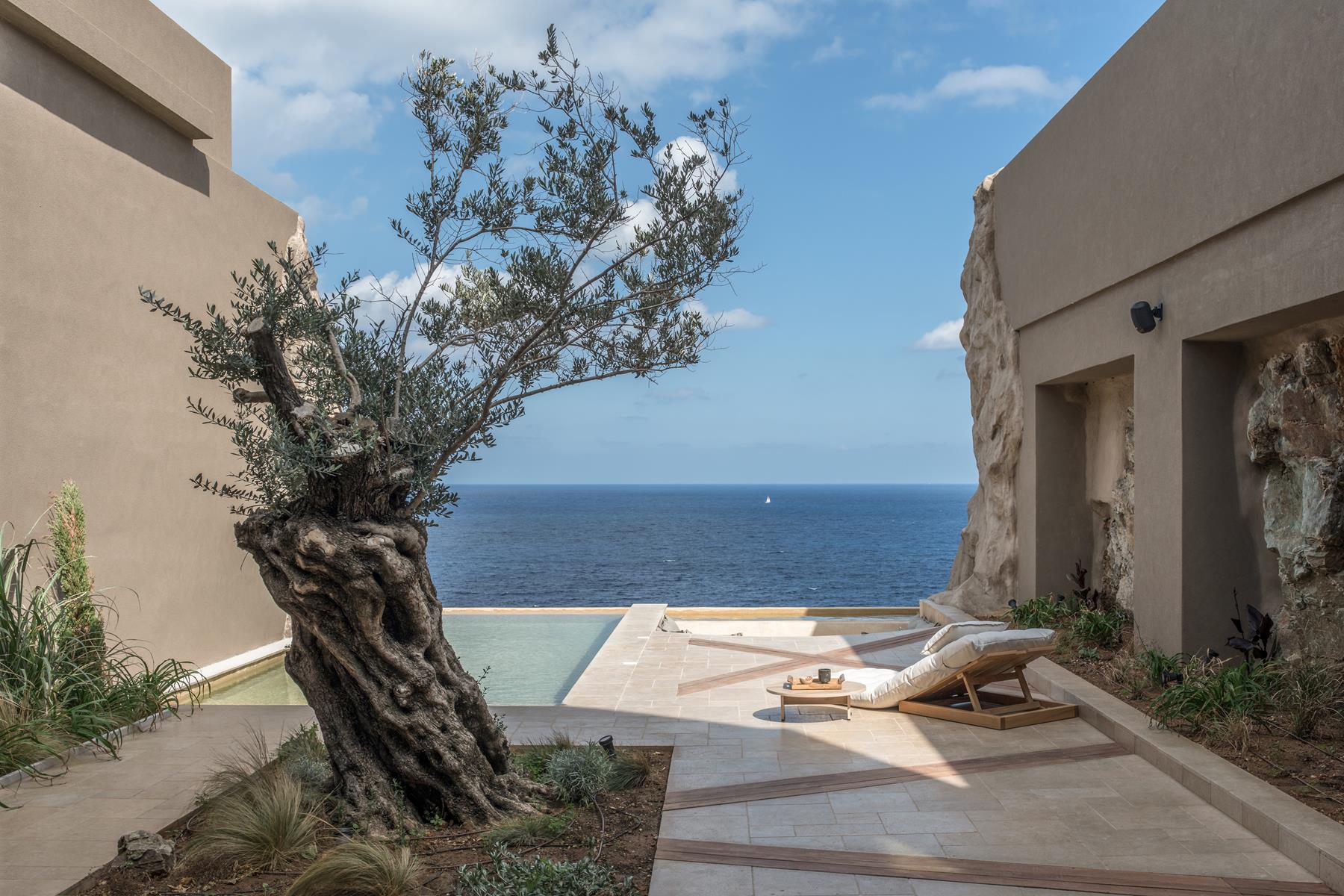 A stone terrace with an olive tree and an infinity pool edge above the open sea